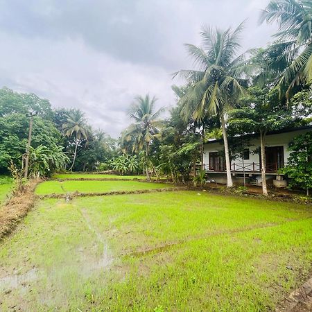 Anuradhapura Hotels Dış mekan fotoğraf