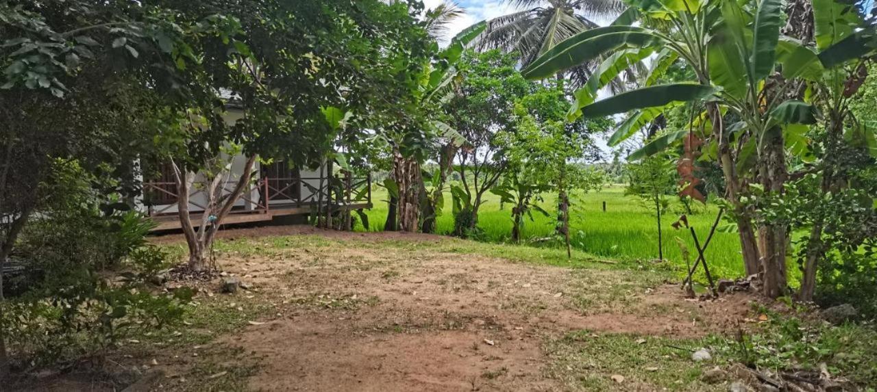 Anuradhapura Hotels Dış mekan fotoğraf